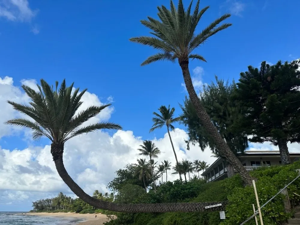 Slide of Henrik Plumbing