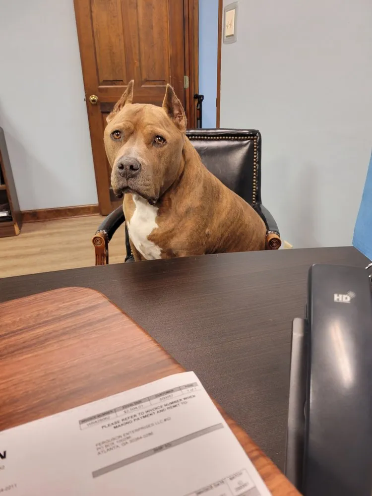 Slide of Henry Plumbing Company