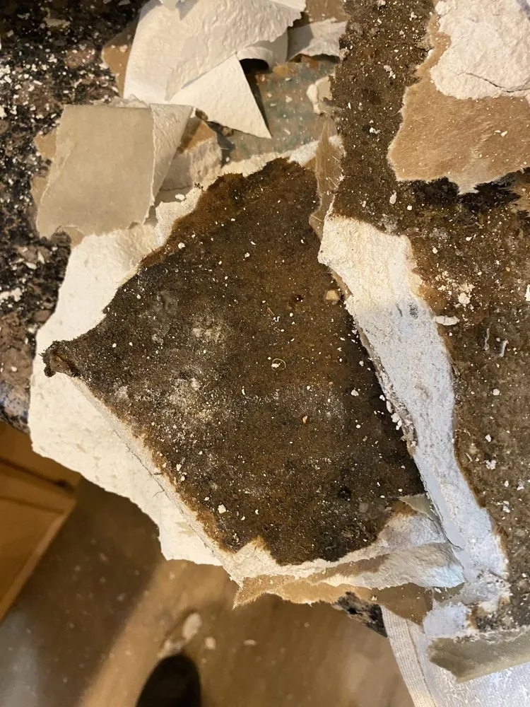 Slide of Henrys Leak Repair And Water Restoration Services