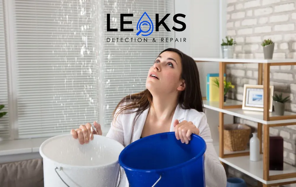 Slide of Henrys Leak Repair And Water Restoration Services
