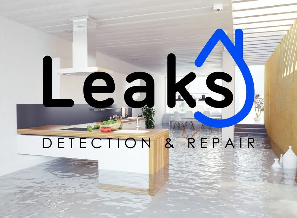 Slide of Henrys Leak Repair And Water Restoration Services