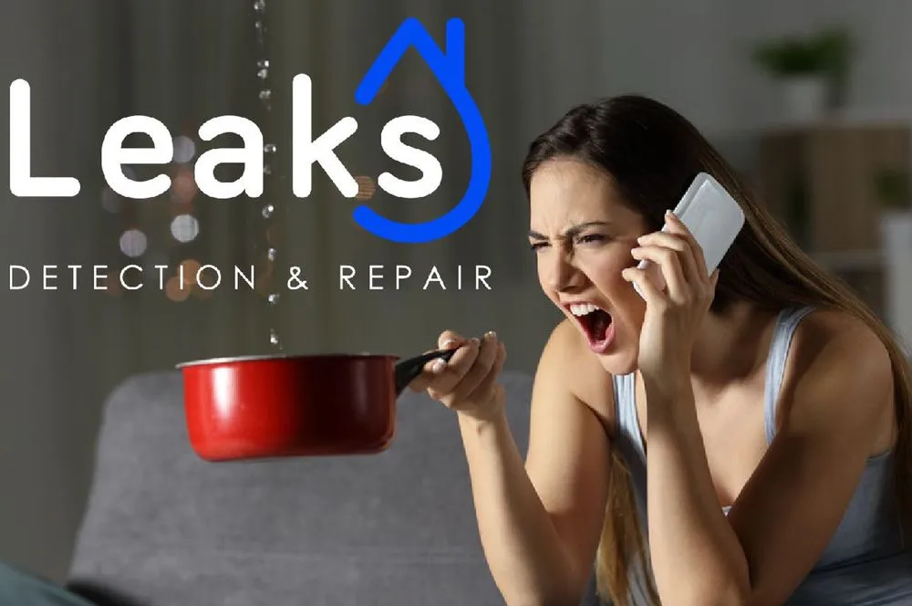 Slide of Henrys Leak Repair And Water Restoration Services