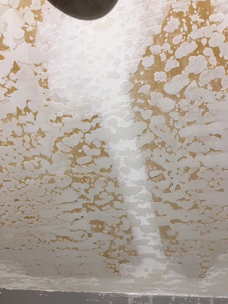 Professional plumbing repair for homes in San Jose, CA by Henry's Painting And Drywall