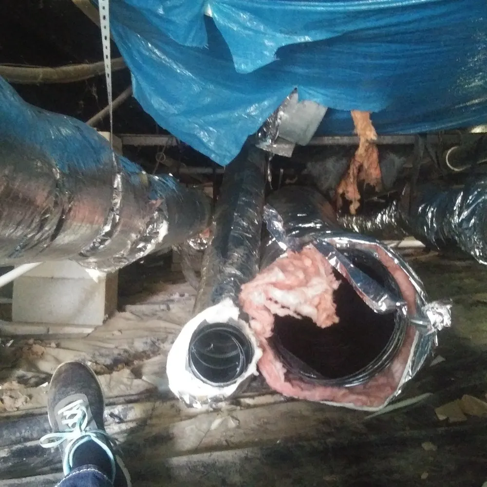 Slide of HEP is on the way