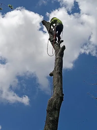 Slide of Hernandez Home Improvement