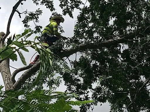 Slide of Hernandez Home Improvement