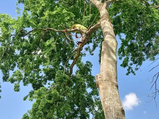 Slide of Hernandez Home Improvement
