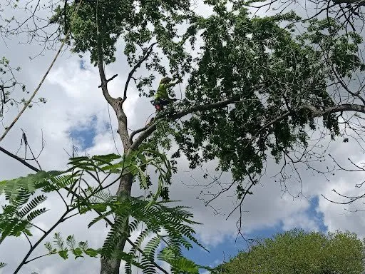 Slide of Hernandez Home Improvement