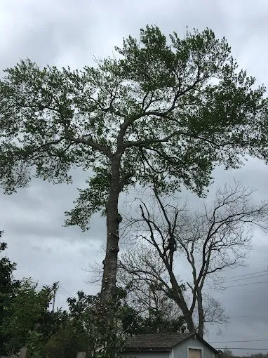 Slide of Hernandez Home Improvement