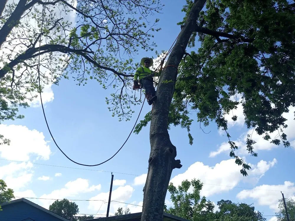 Slide of Hernandez Home Improvement