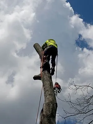 Hernandez Home Improvement Logo