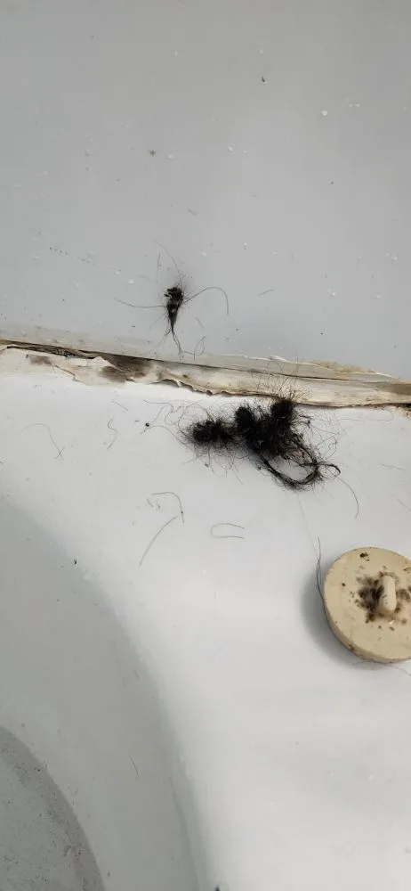 Slide of Hero's Drain Care