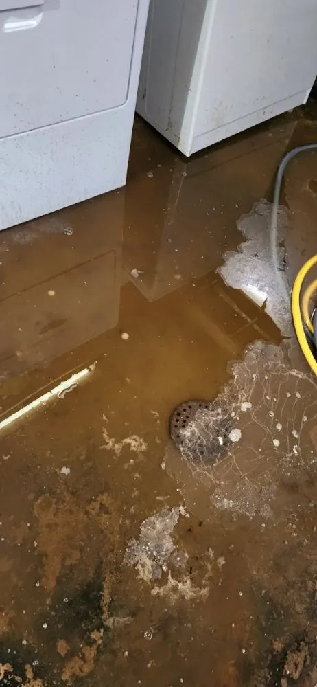 Quality emergency plumbing for homes in Burton, MI by Hero's Drain Care