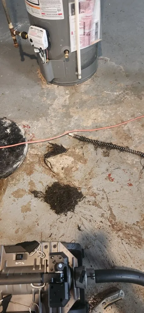 Slide of Hero's Drain Care