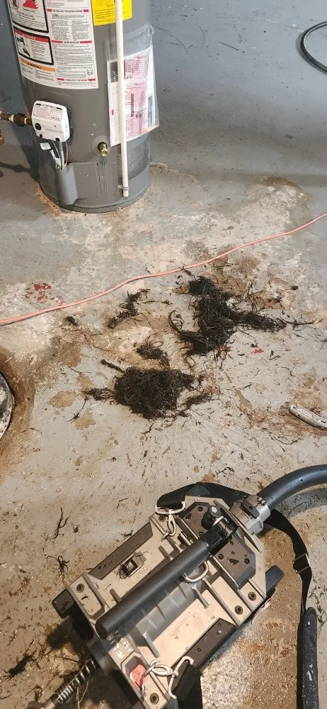 Slide of Hero's Drain Care