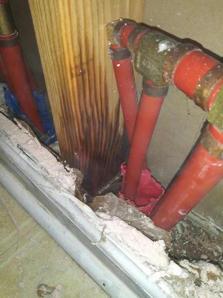 Professional plumbing repair for homes in Elberta, AL by Hero's Plumbing Repair