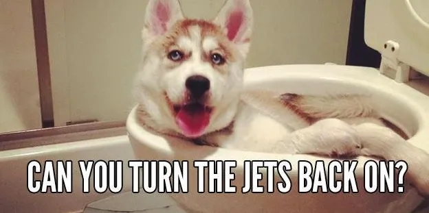 Professional pipe repair for homes in Orlando, FL by Hers and His Plumbing