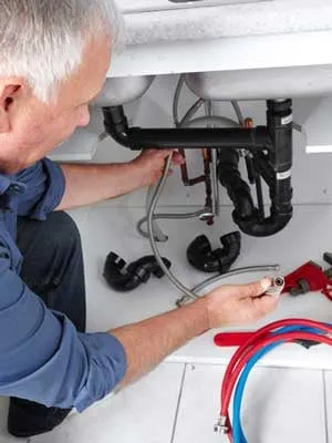 Slide of Hey Hey Rooter Speciality