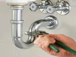 Slide of Hey Hey Rooter Speciality