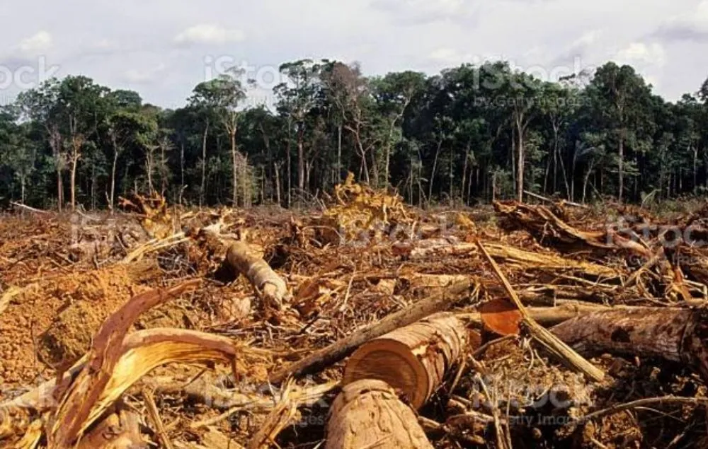 Slide of H&H Land Management