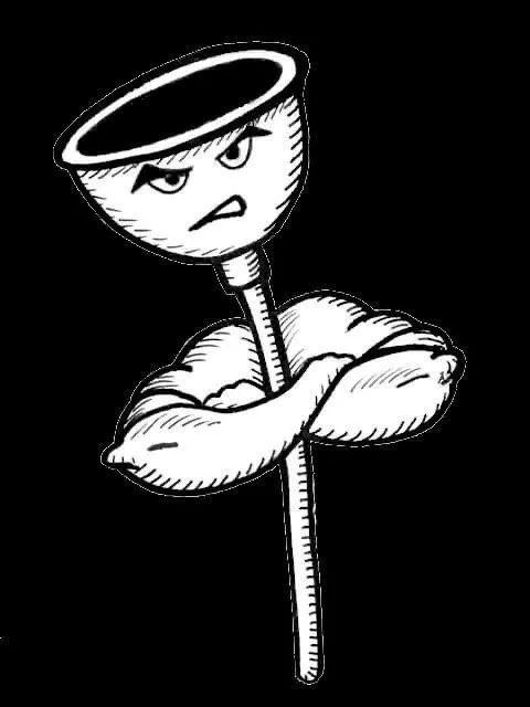 Slide of Higgins Sewer & Drain Cleaning