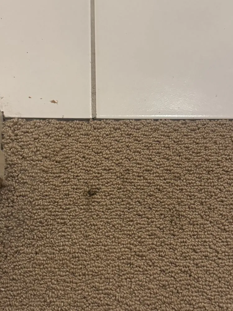 Quality drain cleaning service in Golden, CO - High 5 Plumbing, Heating, Cooling & Electric