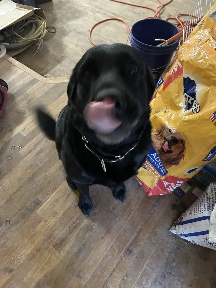 Slide of High End Remodeling and Repair ASAP