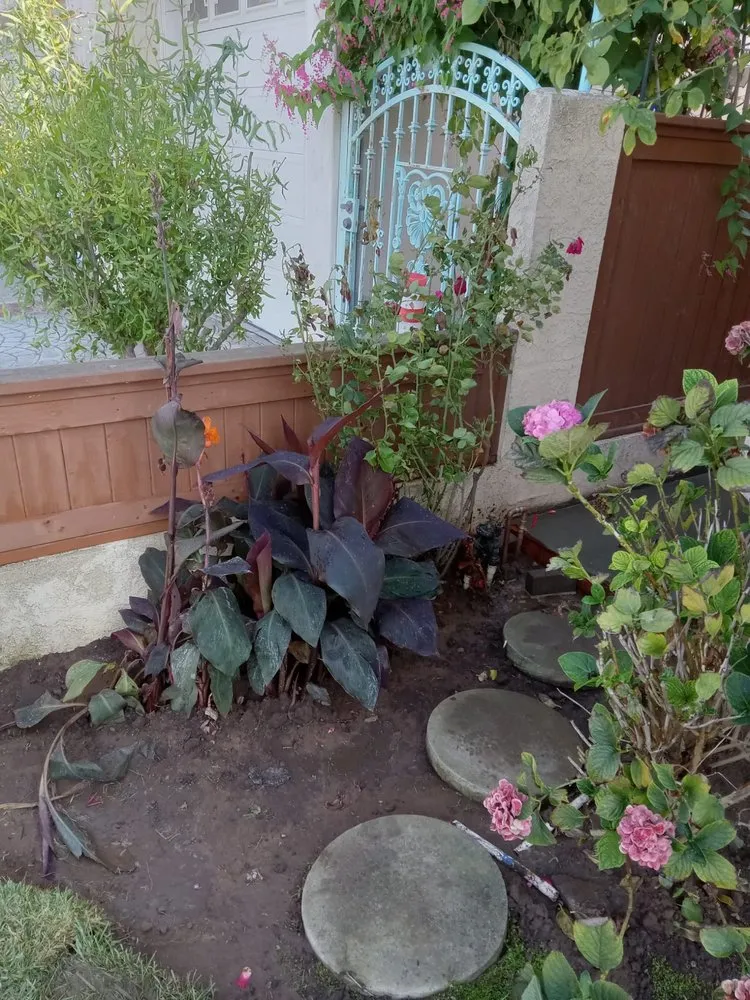 Slide of High Quality Plumbing