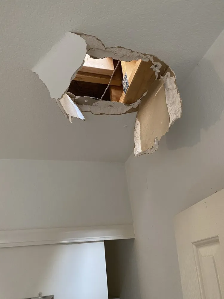 Slide of High Roller Painting & Remodelling