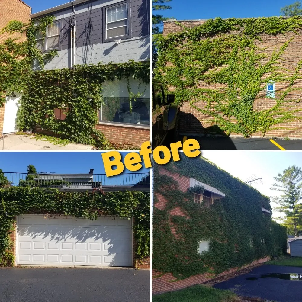 Slide of High Street Services