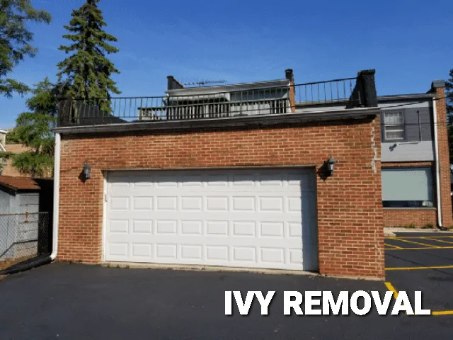 Slide of High Street Services