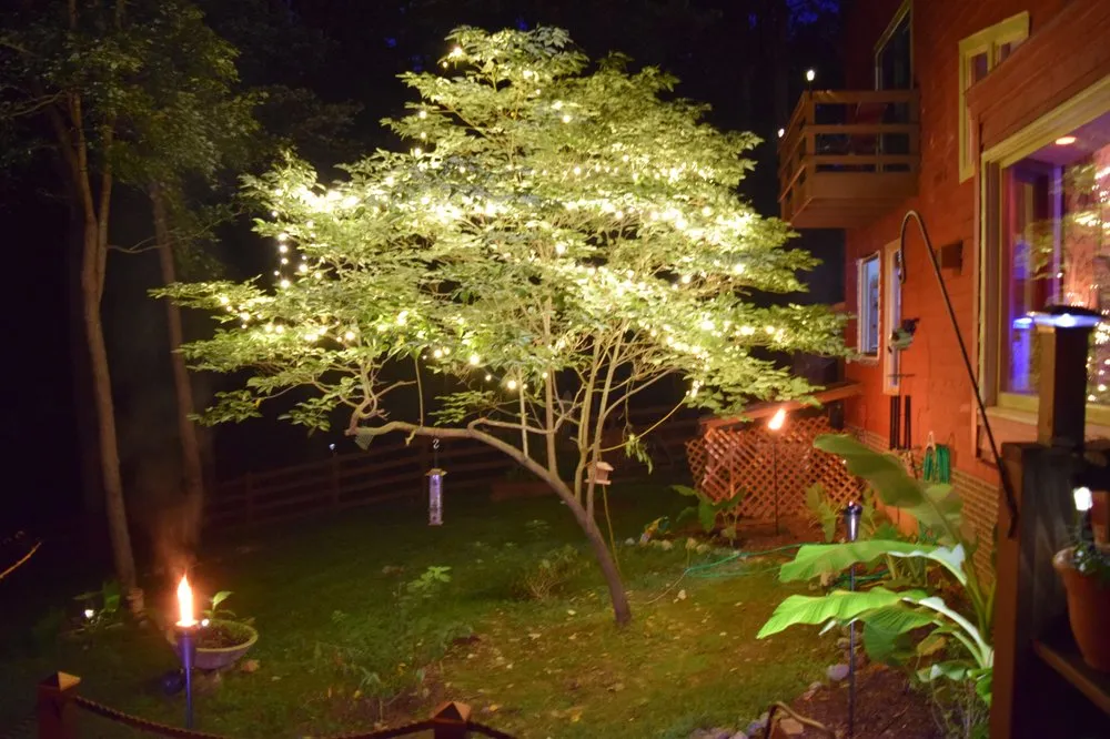 Slide of High Tech Handyman