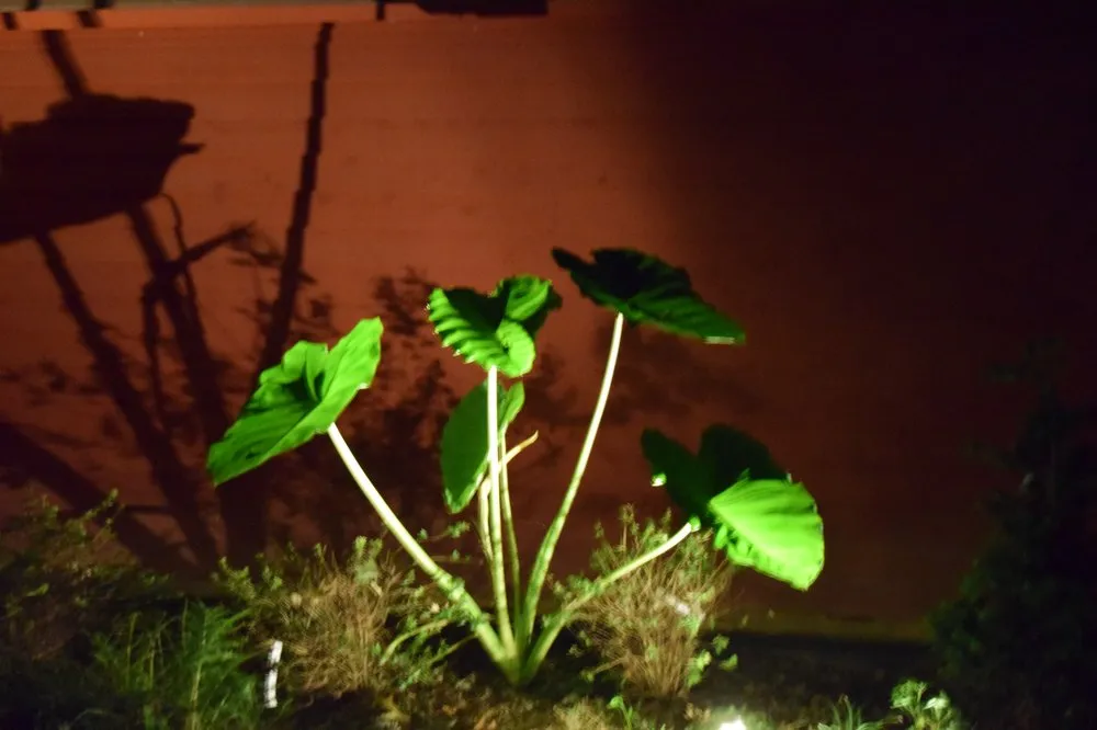 Slide of High Tech Handyman