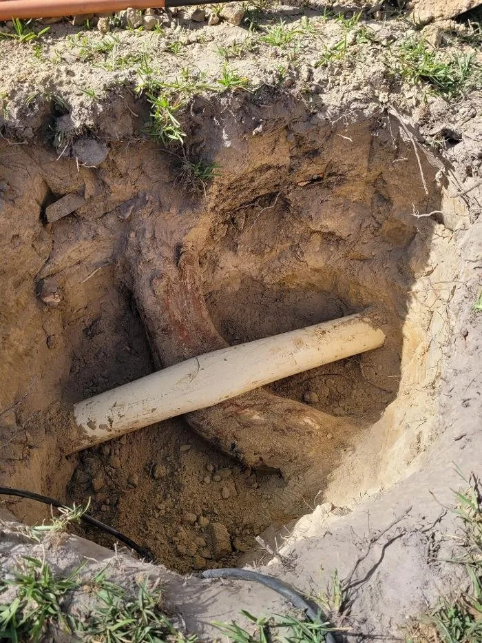 Trusted emergency plumbing service in D'Iberville, MS - High Tide Plumbing