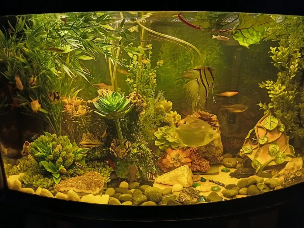 Slide of HiHo Handyman