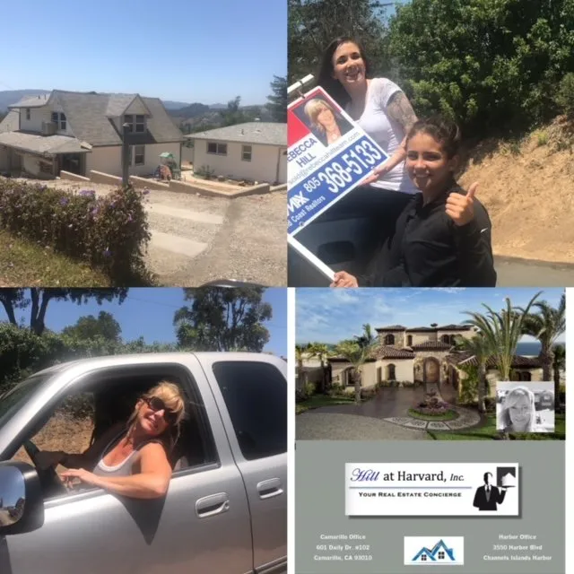 Slide of Hill at Harvard