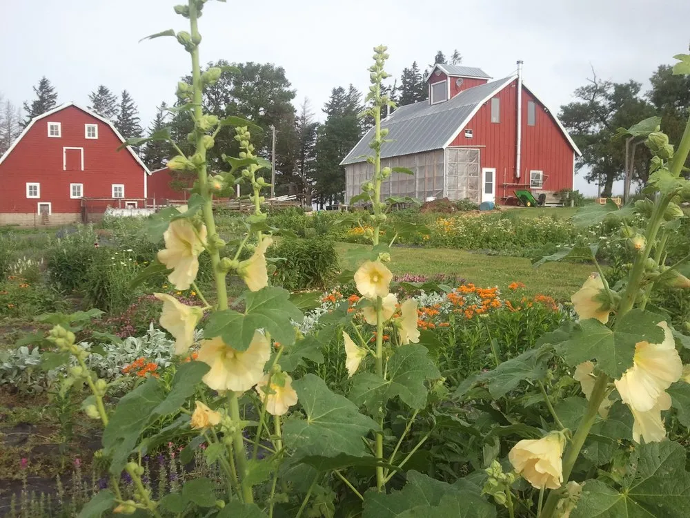 Slide of Hillcrest Farm Handyman Services
