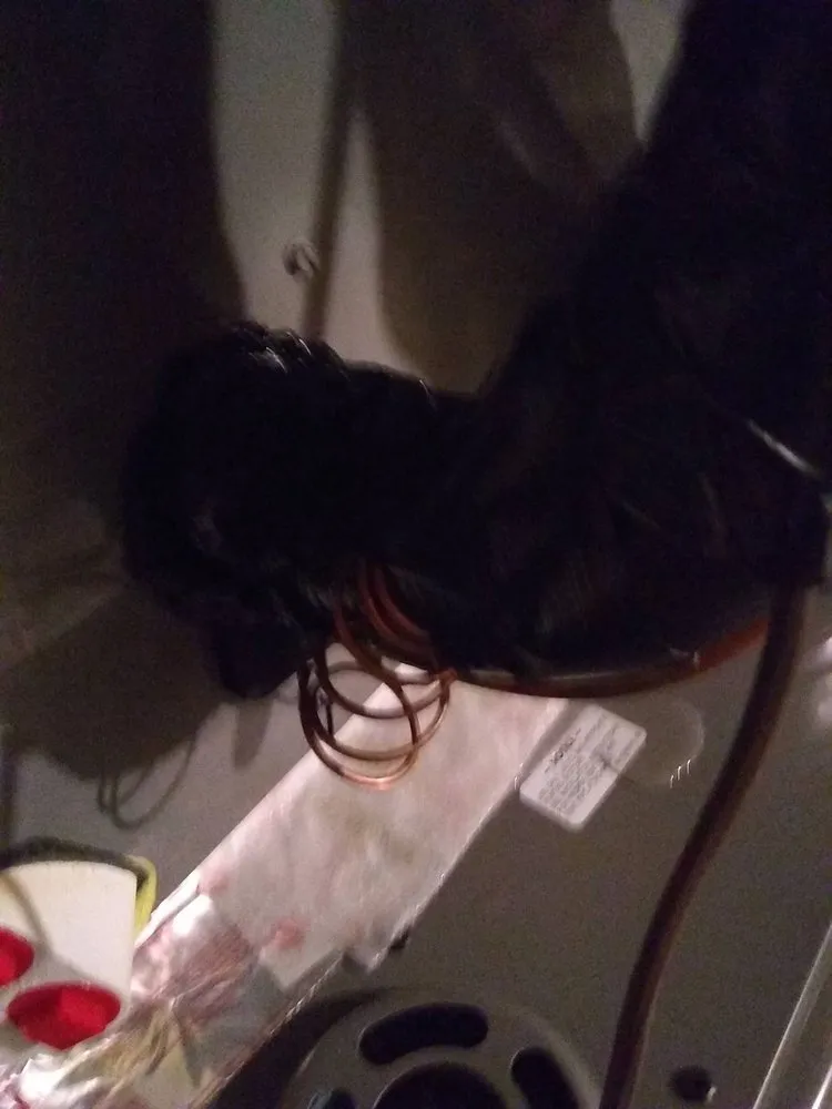 Professional leak detection in Clarksville, TN by Hiller Heating & Cooling