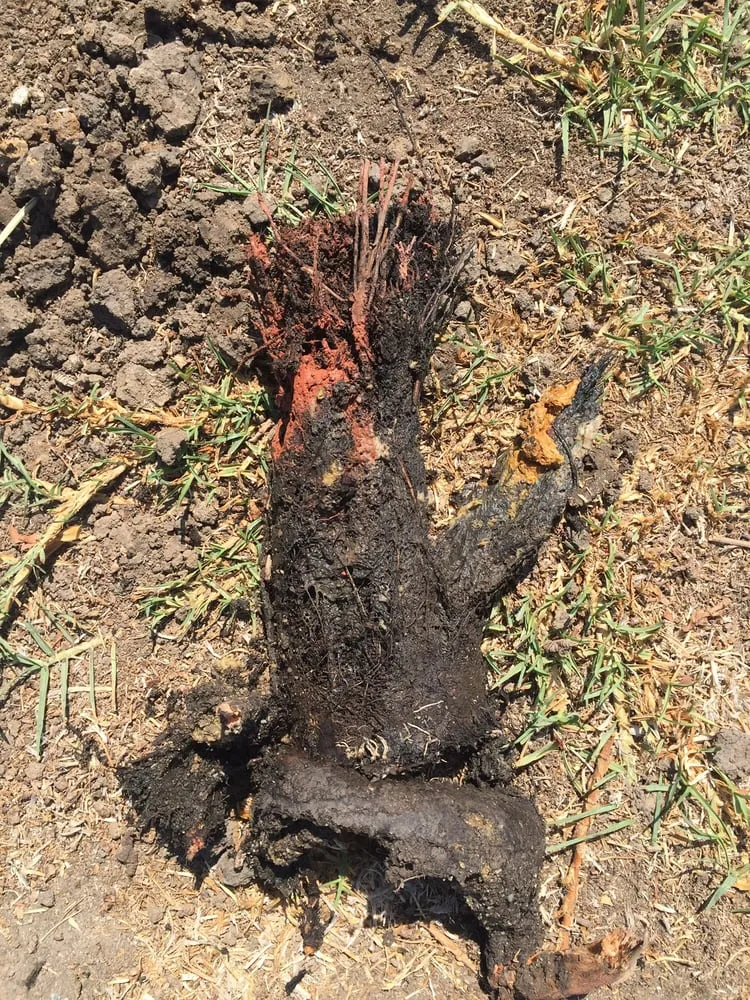 Slide of Hillis Plumbing