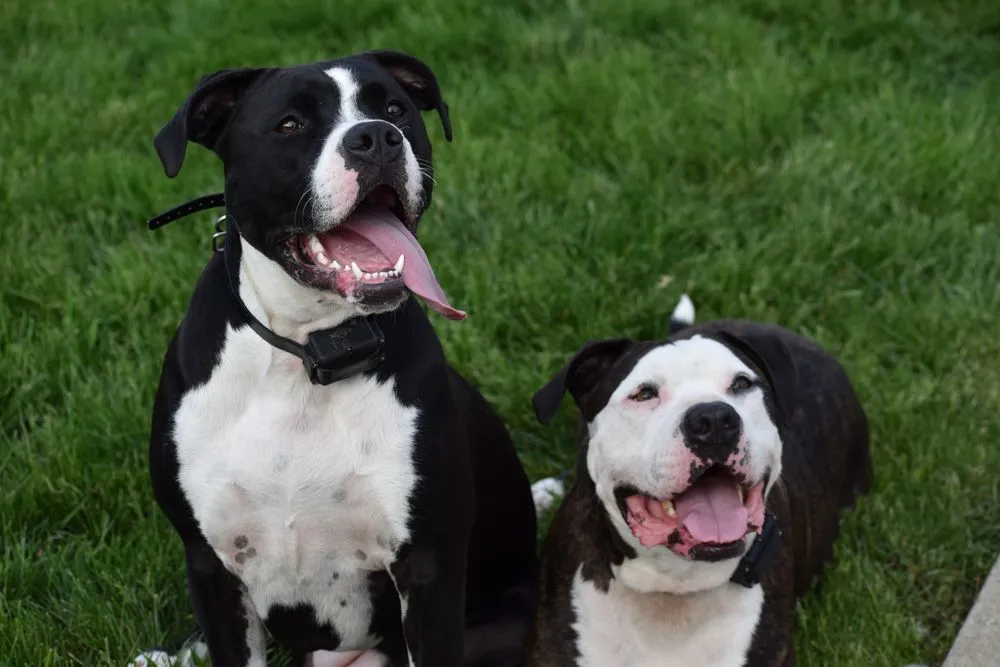 Slide of Hinzman Enterprises