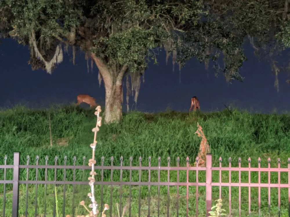 Slide of H.I.P Home Service & Drain