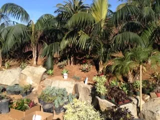 Trusted pipe repair for homes in Oceanside, CA by HOCOA Home Repair Network, San Diego