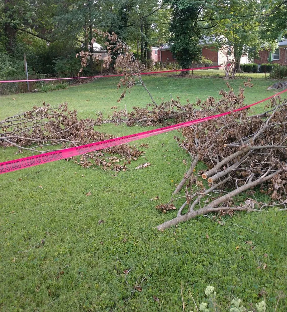 Slide of Hoffmann Brothers