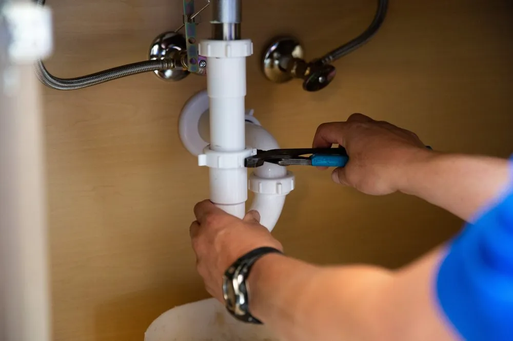 Slide of Hoffmann Brothers