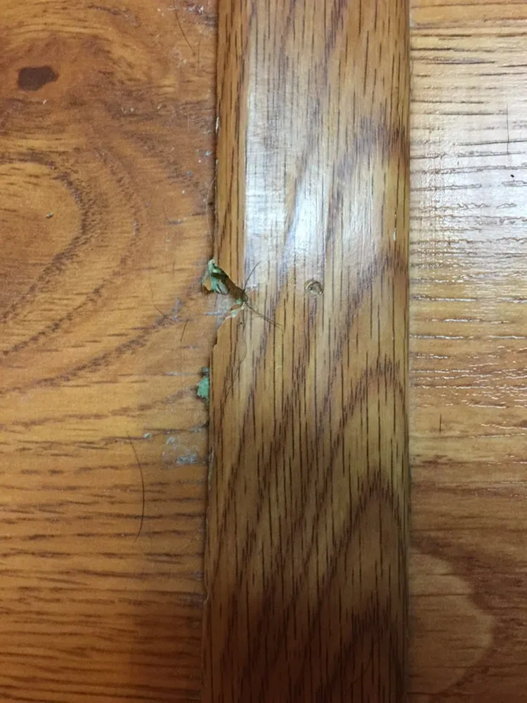 Slide of Hoffmann Family Plumbing