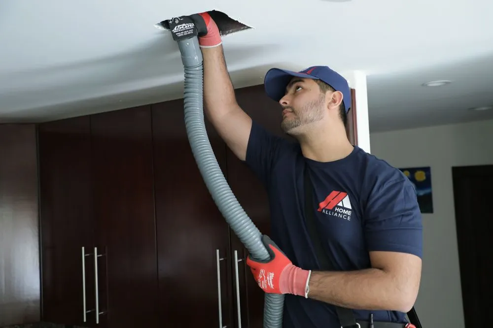 Slide of Home Alliance