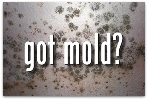 Slide of Home Inspection Authority