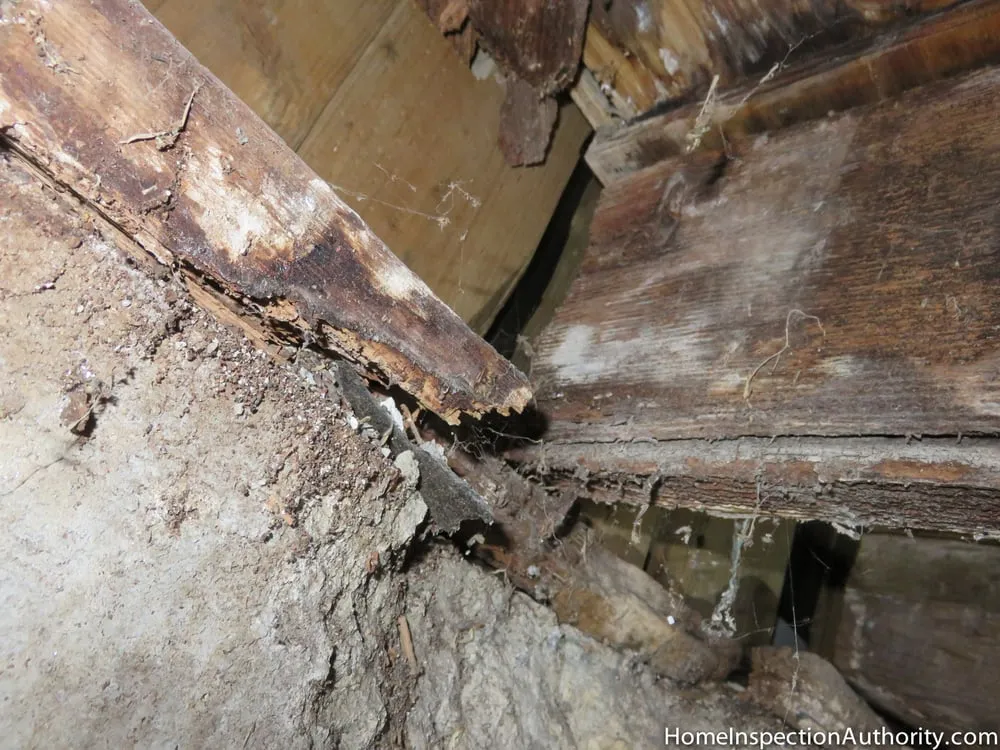 Quality plumbing repair experts serving Los Angeles, CA - Home Inspection Authority