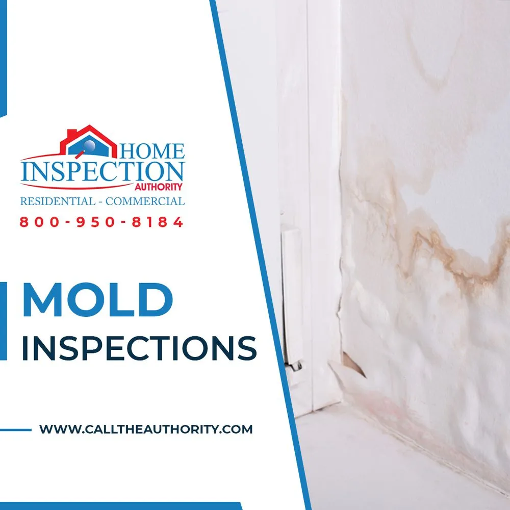 Top-rated emergency plumbing service in Los Angeles, CA - Home Inspection Authority