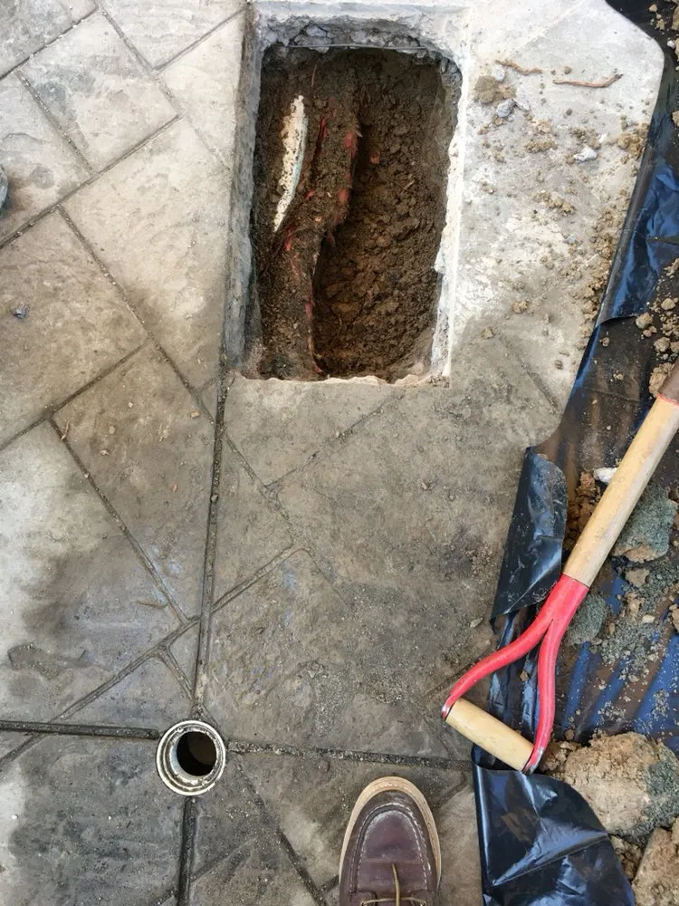 Top-rated emergency plumbing service in Chula Vista, CA - Home Leak and Drain Solutions